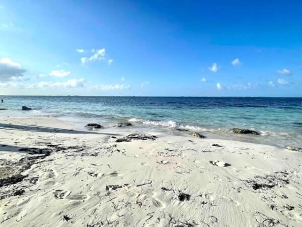 Casa Blanca- Cancun’s Hotel Zone beachfront  vacation rental - Image 5